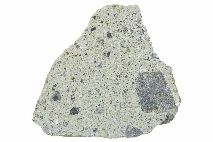 Howardite Meteorite ( g) Slice - NWA #266105